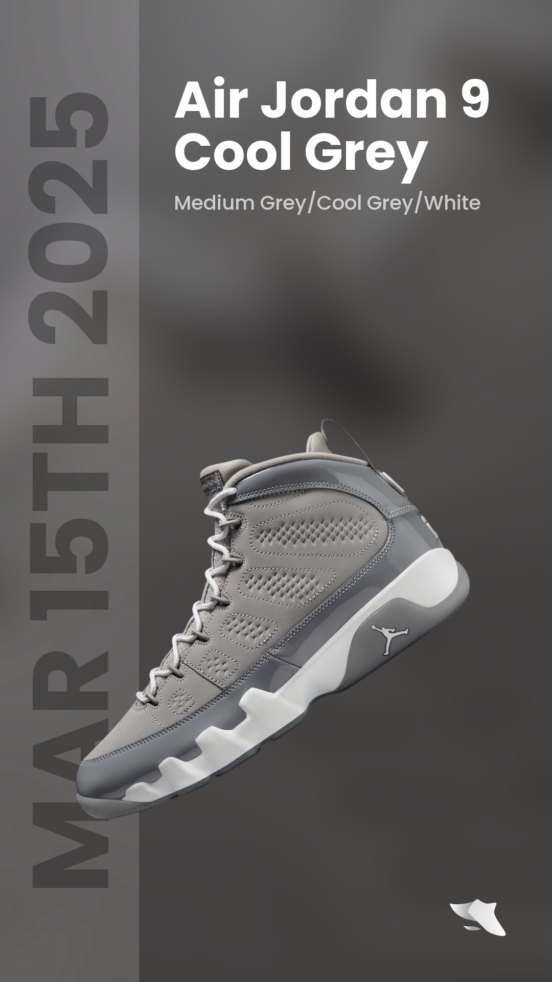 SwiftSole - Air Jordan 9 Cool Grey