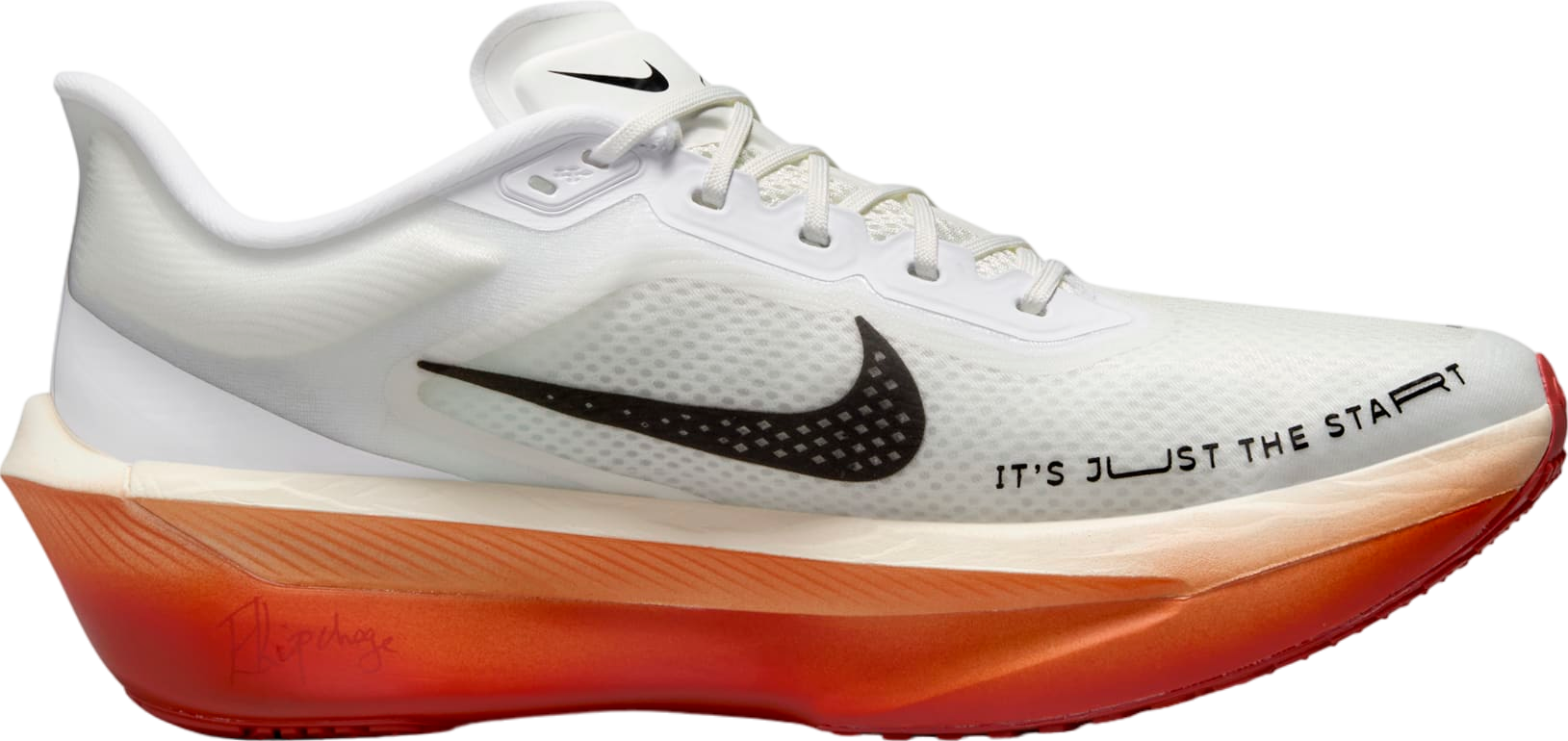 SwiftSole - Eliud Kipchoge x Nike Zoom Fly 6